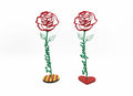 Rosas de Sant Jordi