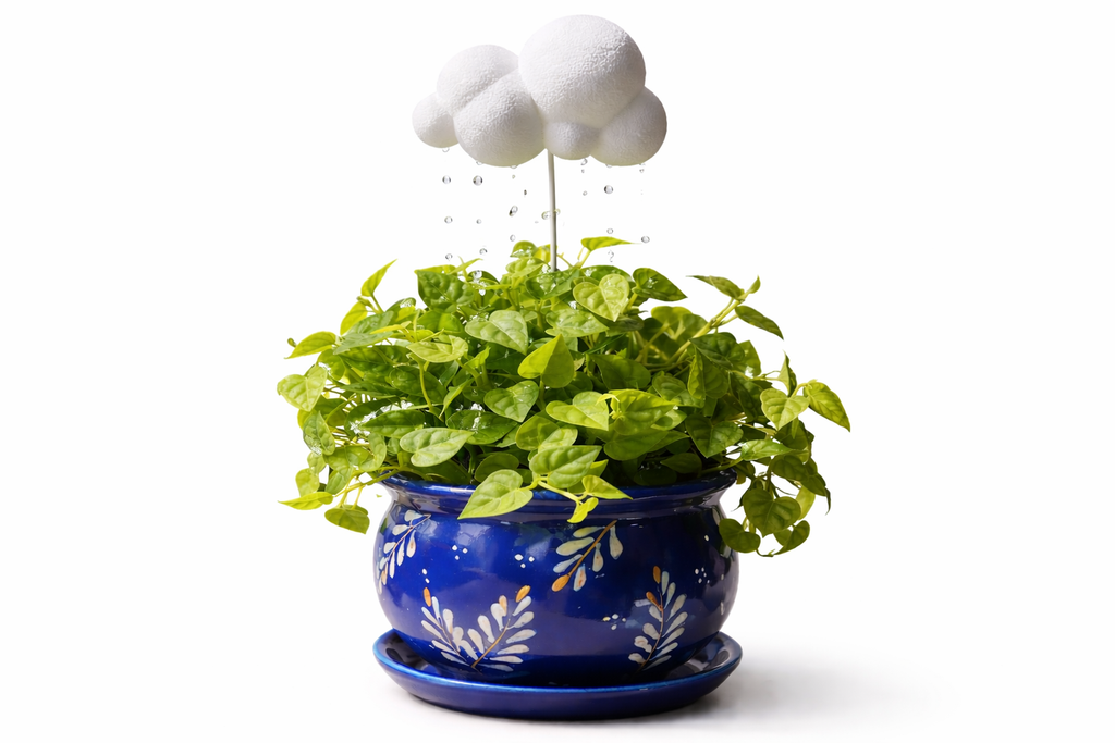 Nube Regadora Decorativa