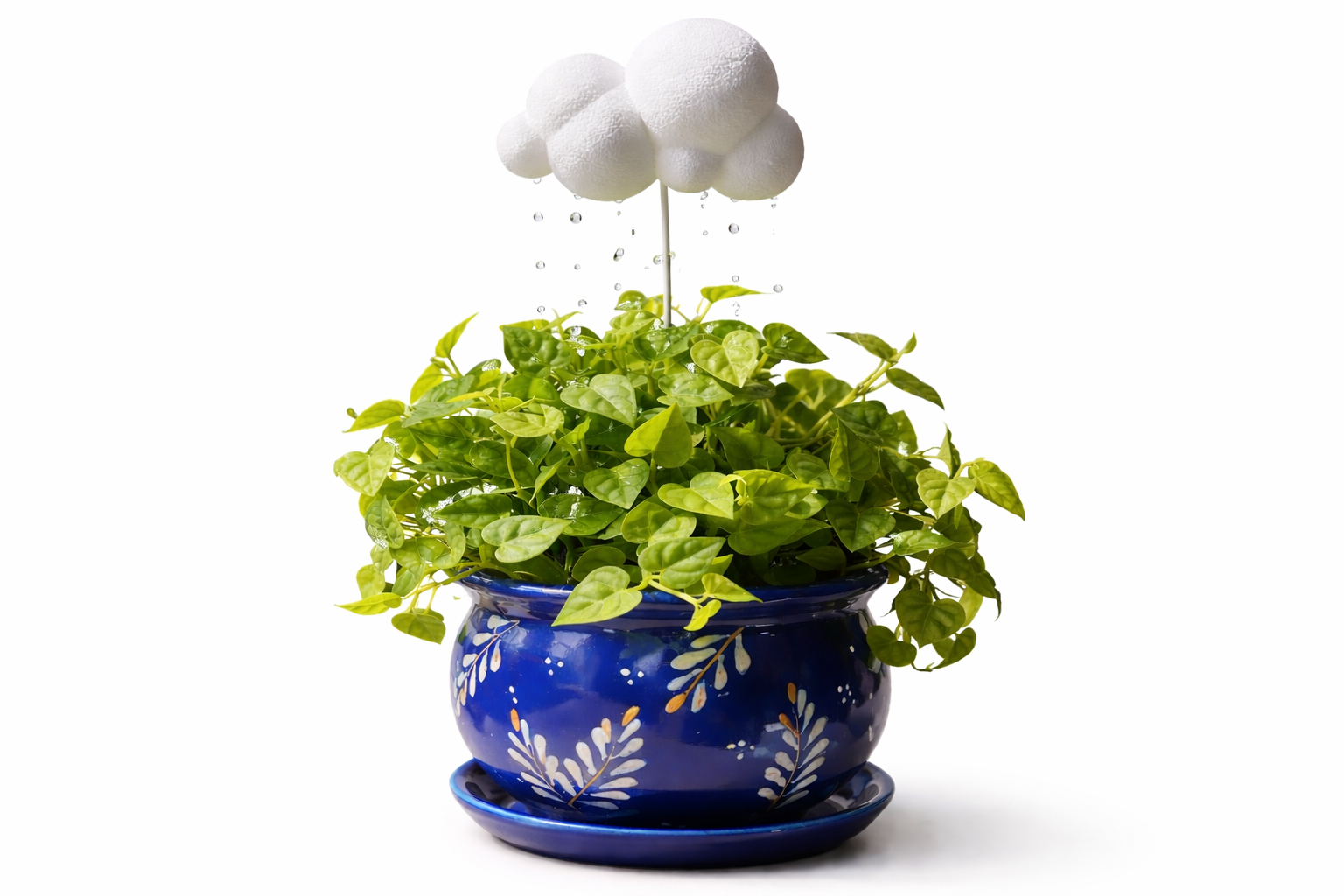 Nube Regadora Decorativa